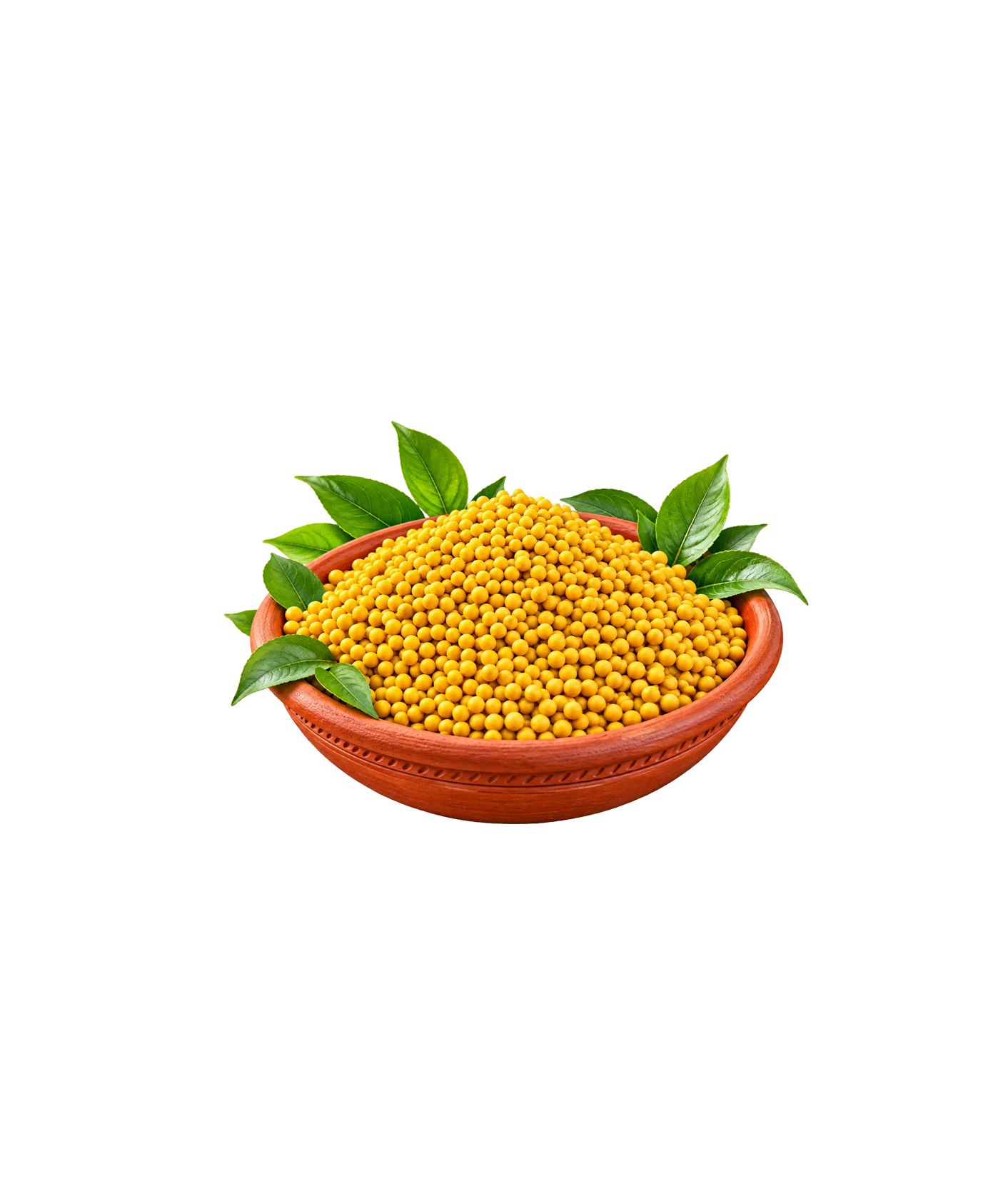 Agni Naturals Traditional Siddha Heritage
