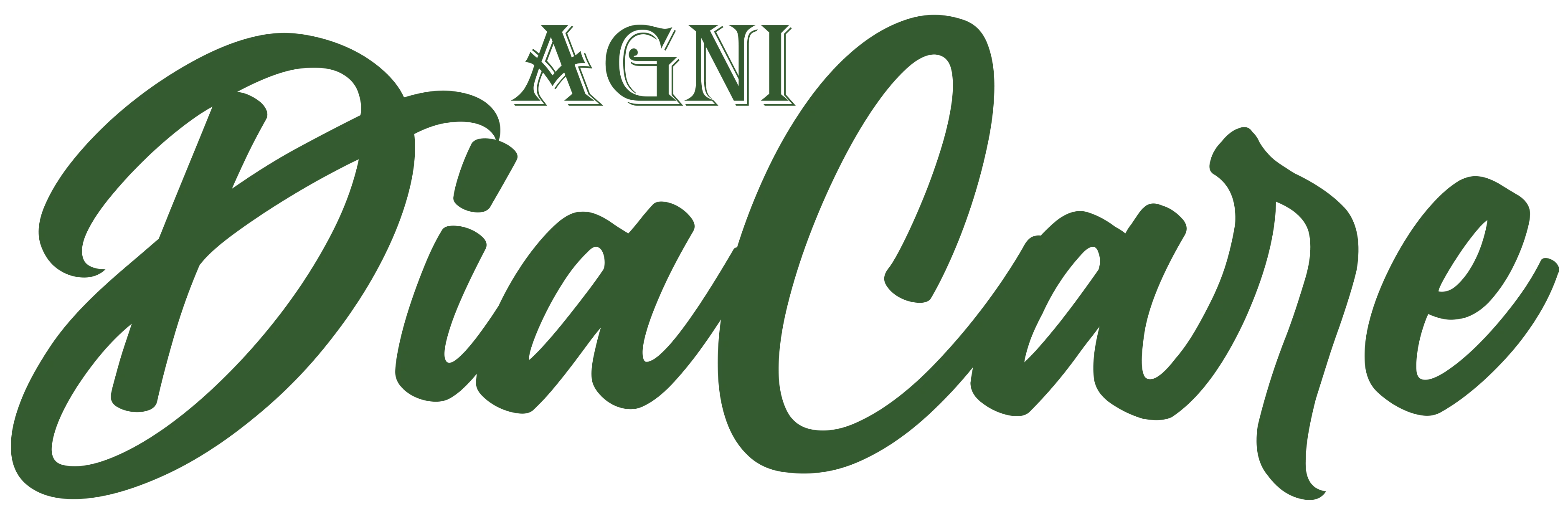 Agni Naturals Logo